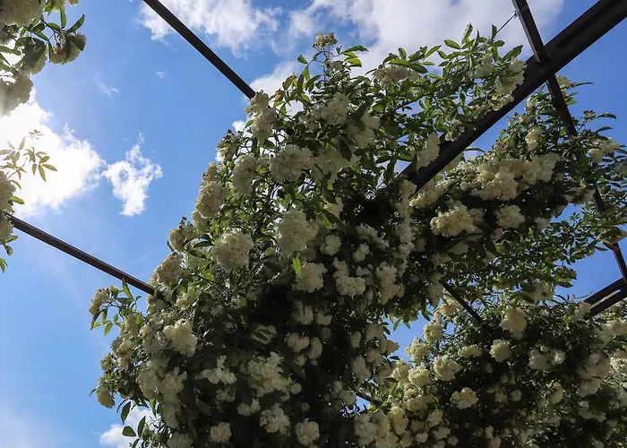 Righetto אורחן Quinto Di Treviso