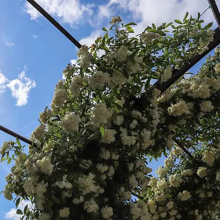 Righetto Han/Misafirhane Quinto Di Treviso